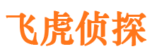 湖口外遇出轨调查取证